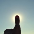 指と太陽
